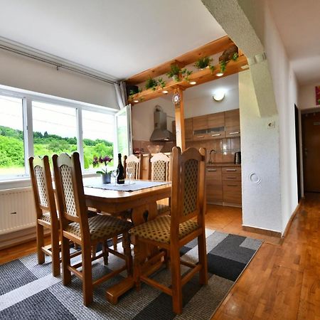 Apartment Marija Zupan Rakovica Εξωτερικό φωτογραφία